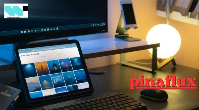 pinaflux