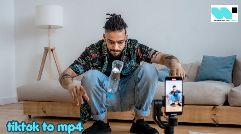 tiktok to mp4