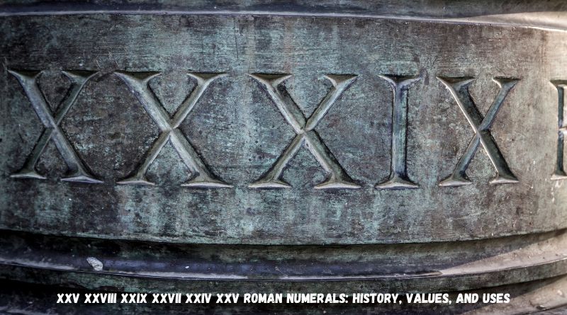 xxv xxviii xxix xxvii xxiv xxv Roman Numerals: History, Values, and Uses