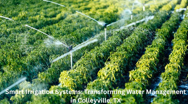 Smart Irrigation Systems: Transforming Water Management in Colleyville, TX