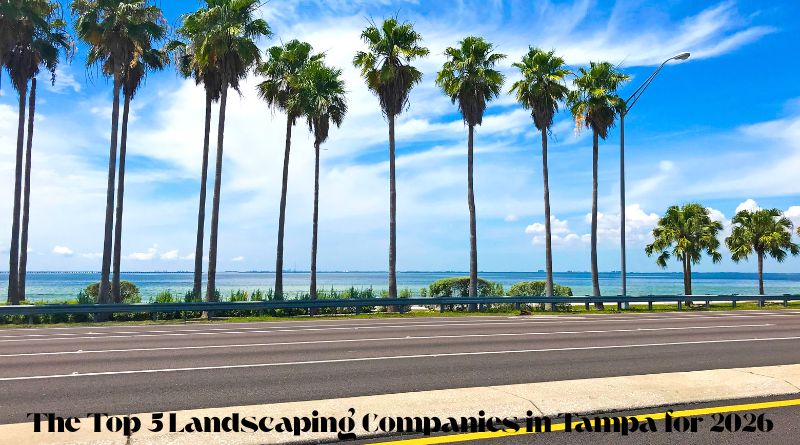 The Top 5 Landscaping Companies in Tampa for 2026