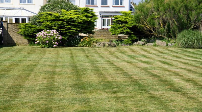 When Your Rogers, AR Lawn Needs Professional Care